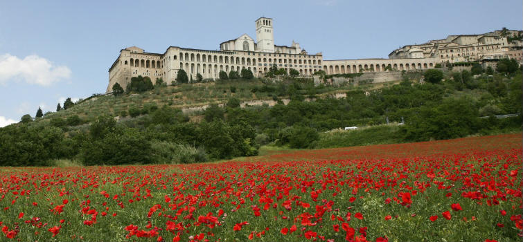 assisi-1