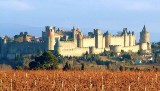 Carcassonne-vignes-470x268