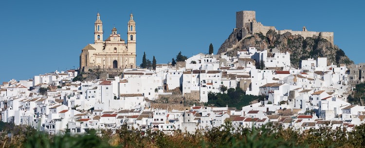 Olvera