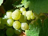 loire07